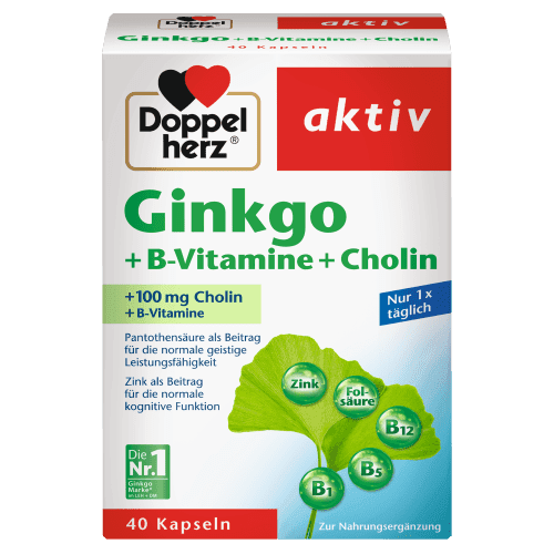 Ginkgo + Vitamin B + Cholin