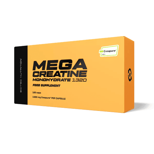 Mega Creatine Monohydrate 1320
