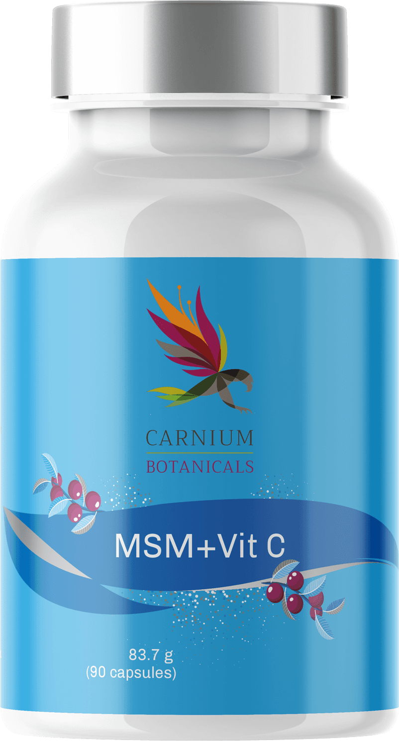 MSM + Vitamin C